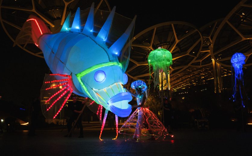 Zlín žije není jen o hudbě, láká i na svítící medúzy, tanec a umění