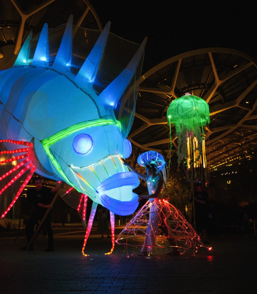 Zlín žije není jen o hudbě, láká i na svítící medúzy, tanec a umění